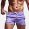 Purppura